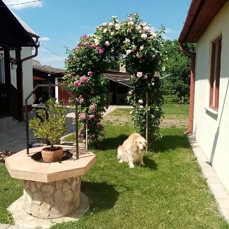 Tar Lak Vendeghaz * Hajduszoboszlo