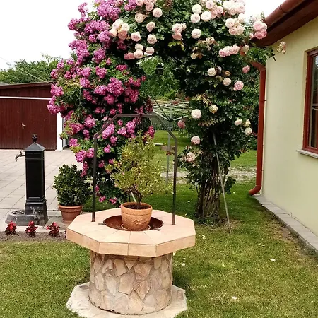 Tar Lak Vendeghaz * Hajduszoboszlo