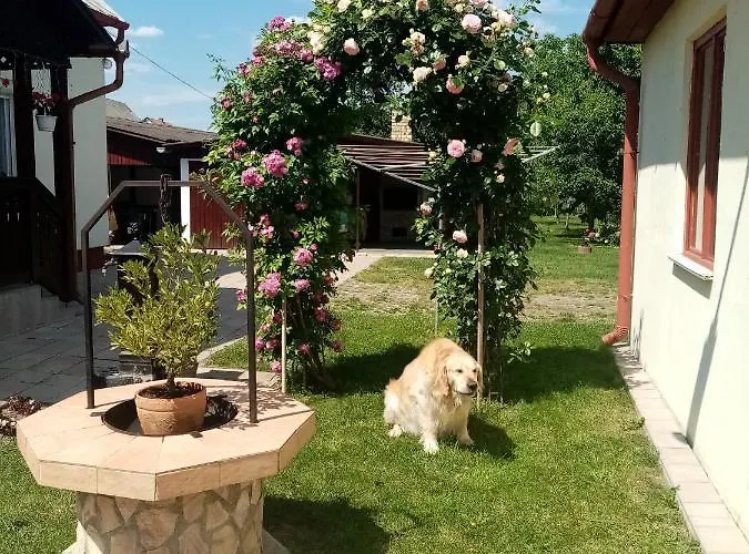 Tar Lak Vendeghaz * Hajdúszoboszló