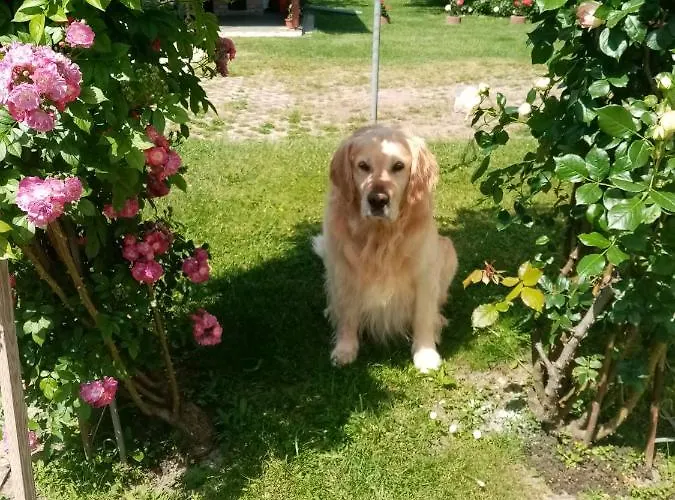 Tar Lak Vendeghaz Apartamento *